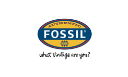 优质合作同伴FOSSIL 精密角度滚珠开关